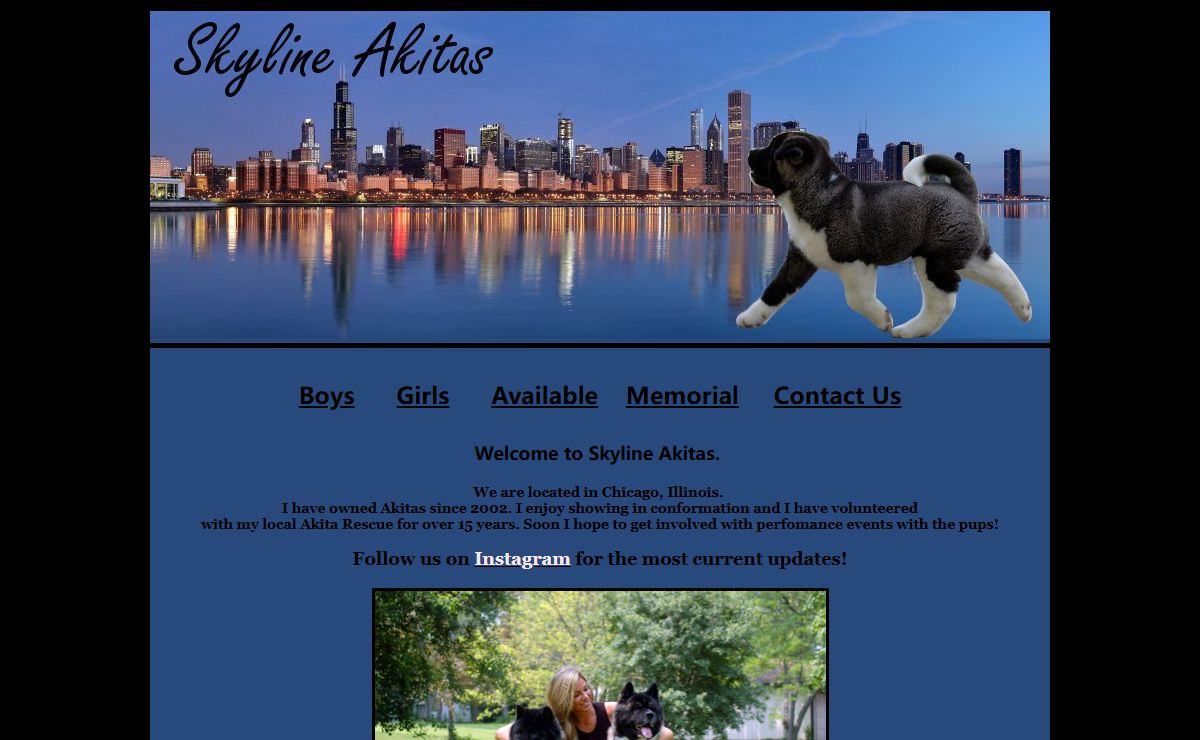 Skyline Akitas - Chicago, IL
