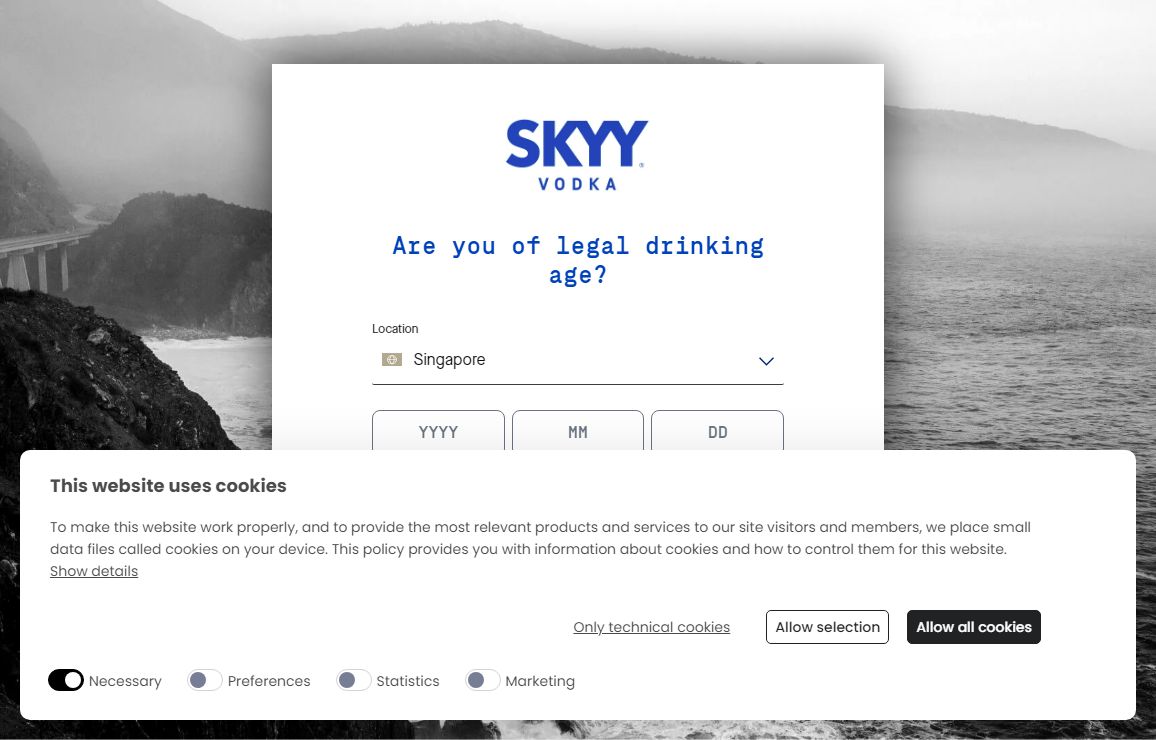 Explore SKYY Vodka | Skyy Vodka