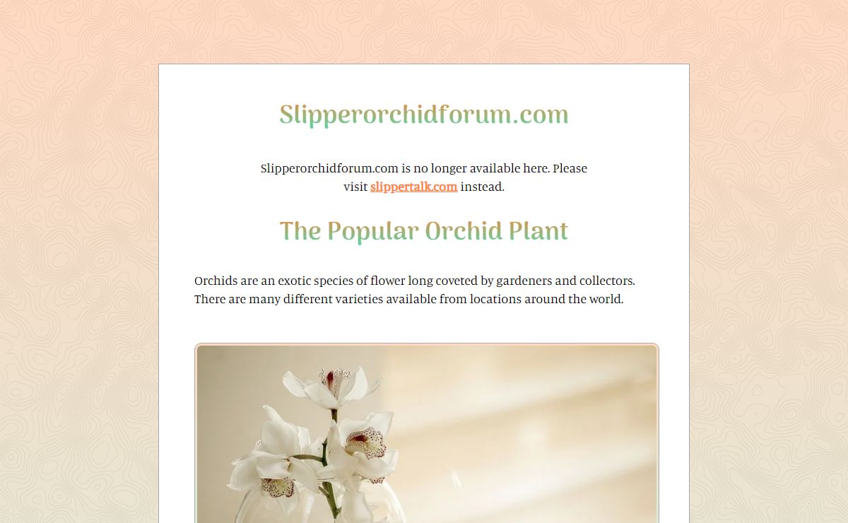 Main Orchid Species and How to Grow and Care for Them - Slipperorchidforum.com