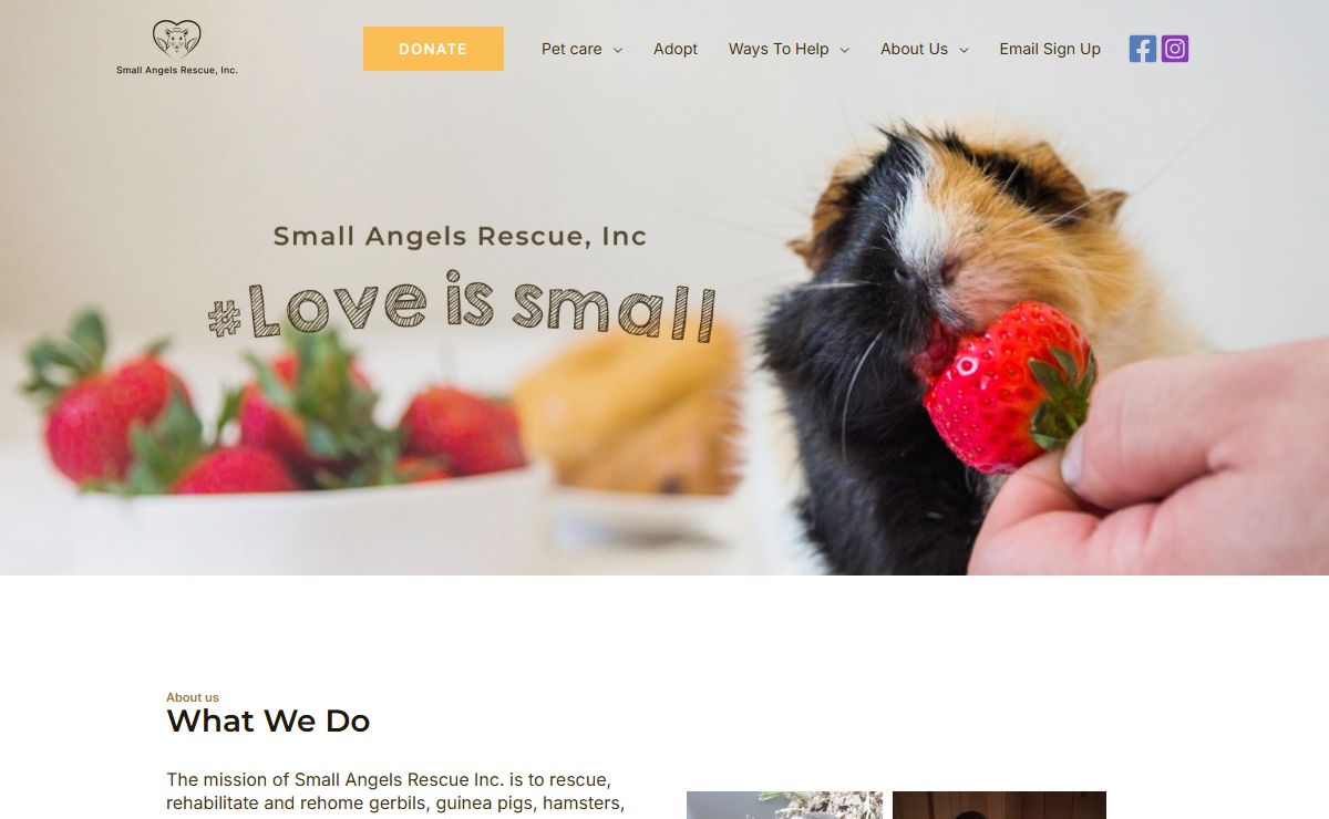 Small Angels Rescue, Inc. | Maryland and Northern Virginia