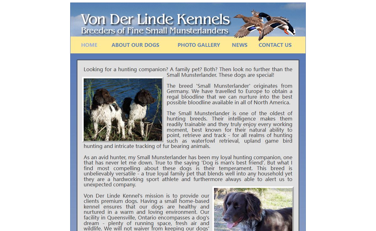 Von Der Linde Kennels – Breeders of Fine Small Munsterlanders