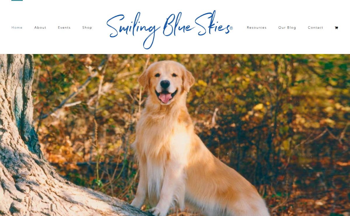 The Smiling Blue Skies Cancer Fund