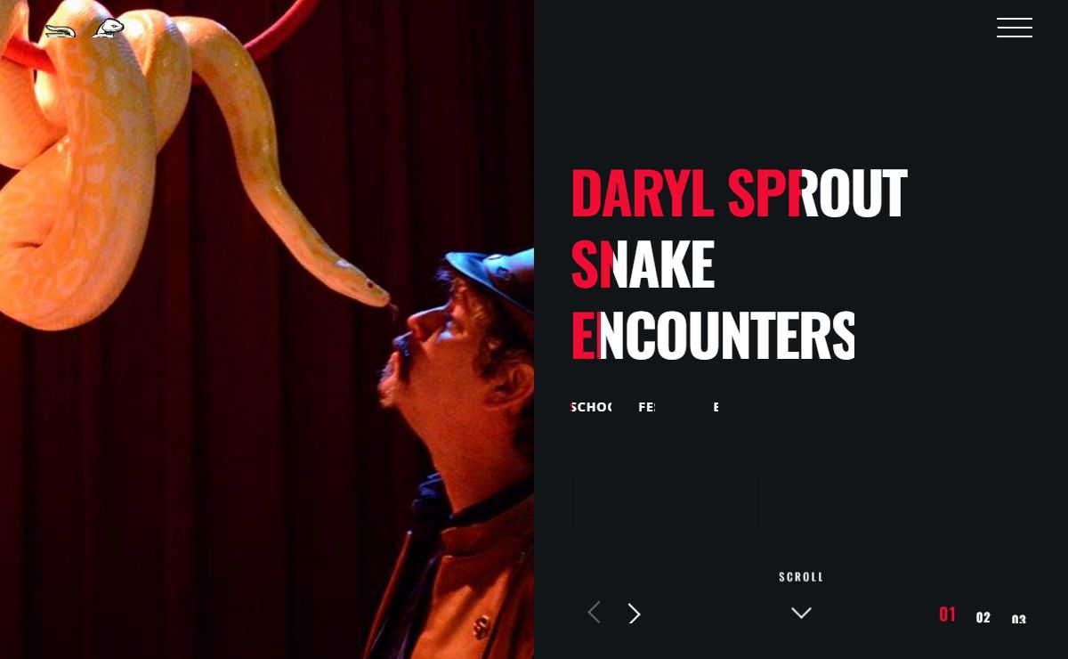Snake Encounters