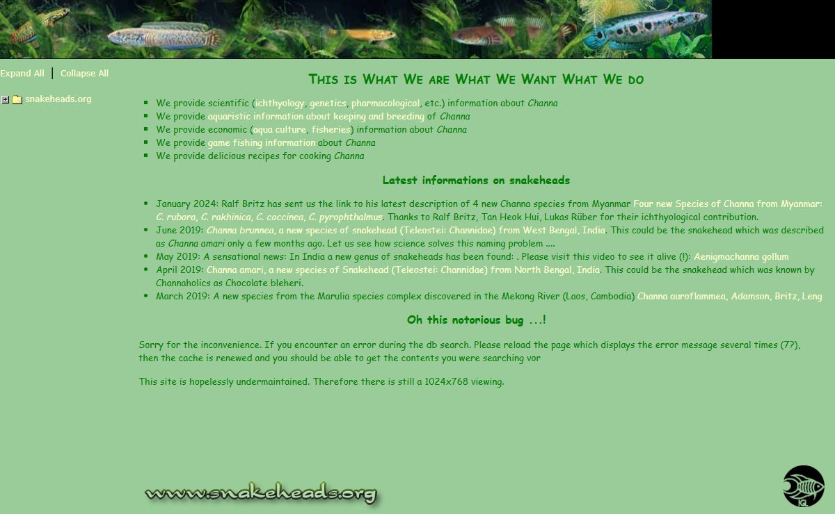 www.snakeheads.org - THE information source on Channidae on the Internet