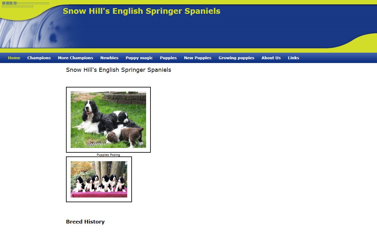 Snow Hill English Springer Spaniels