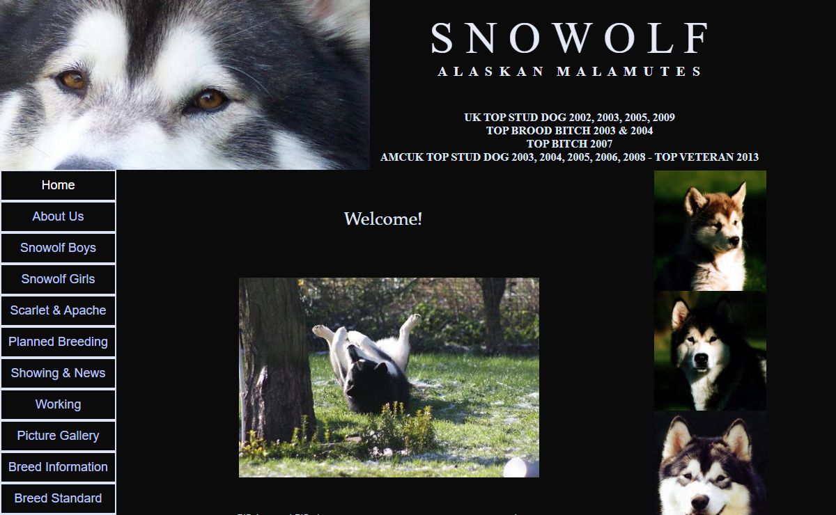Snowolf Alaskan Malamutes - Home
