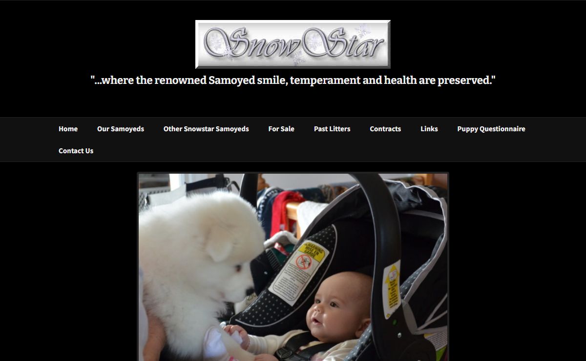 Snowstar Samoyeds