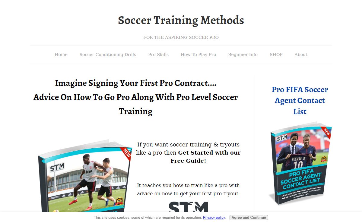 Soccer Training, Training Methods for the Aspiring Pro Soccer Player
