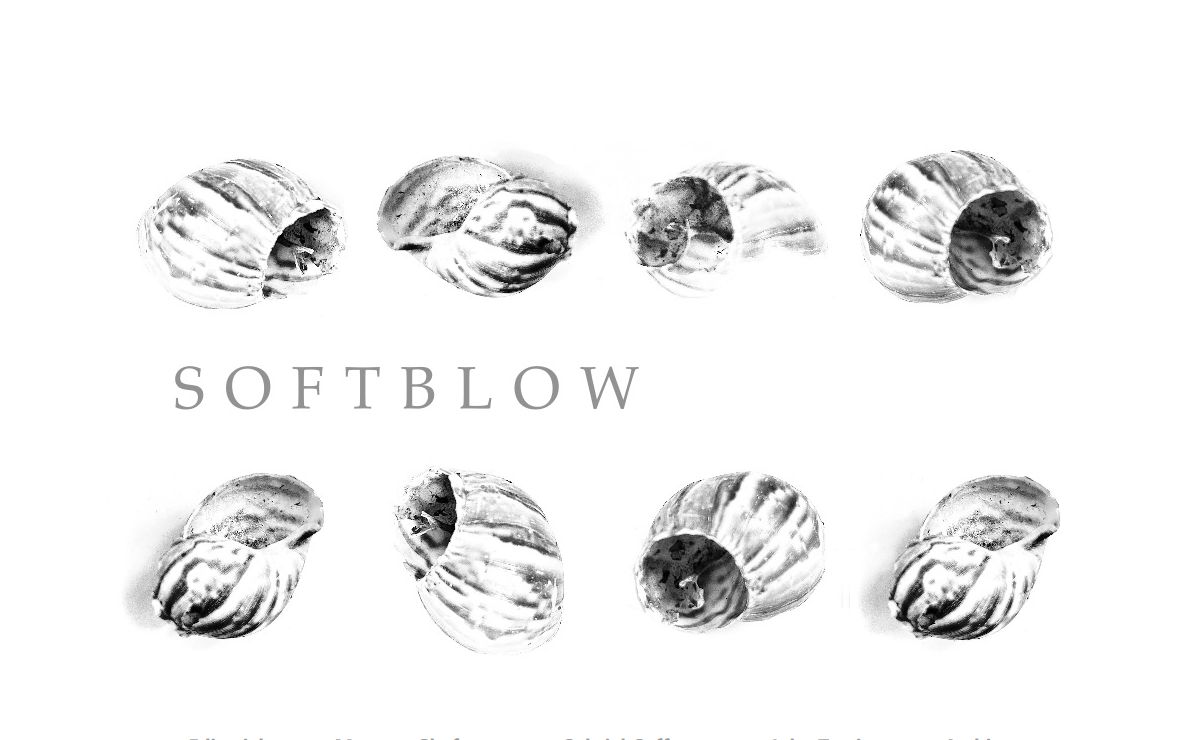 SOFTBLOW Poetry Journal