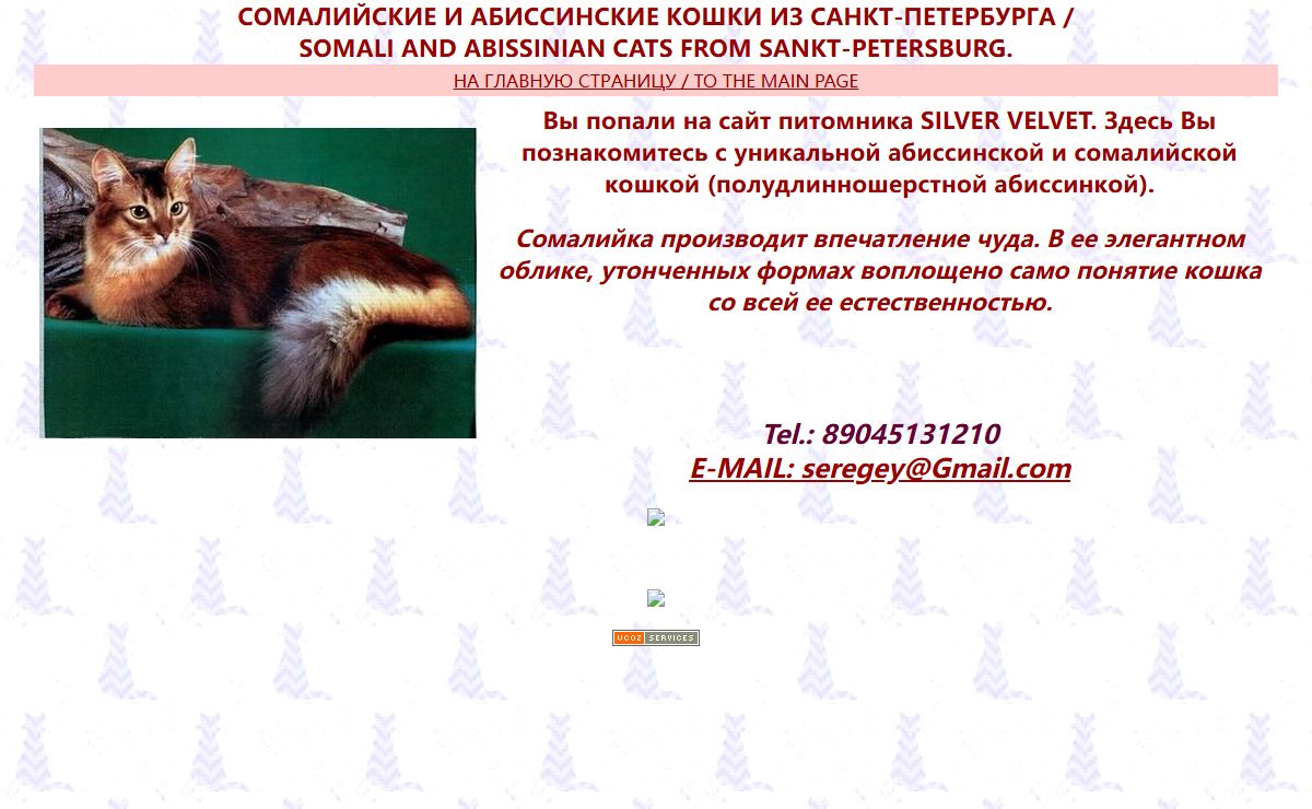 СОМАЛИЙСКИЕ И АБИССИНСКИЕ КОШКИ ИЗ САНКТ-ПЕТЕРБУРГА / SOMALI AND ABISSINIAN CATS FROM SANKT-PETERSBURG.