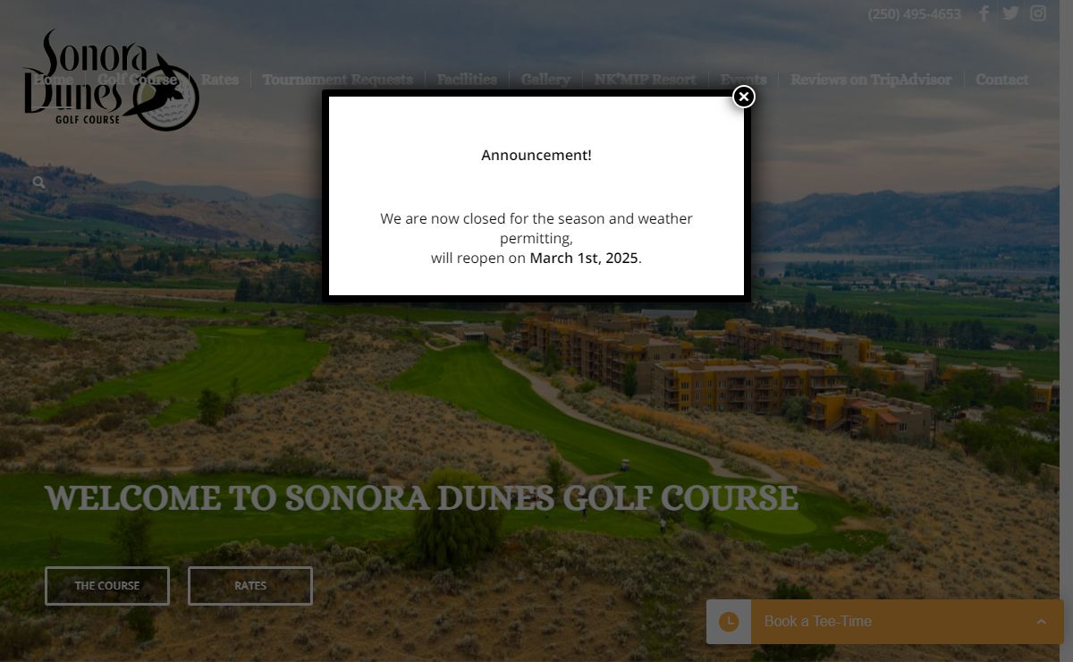 Sonora Dunes