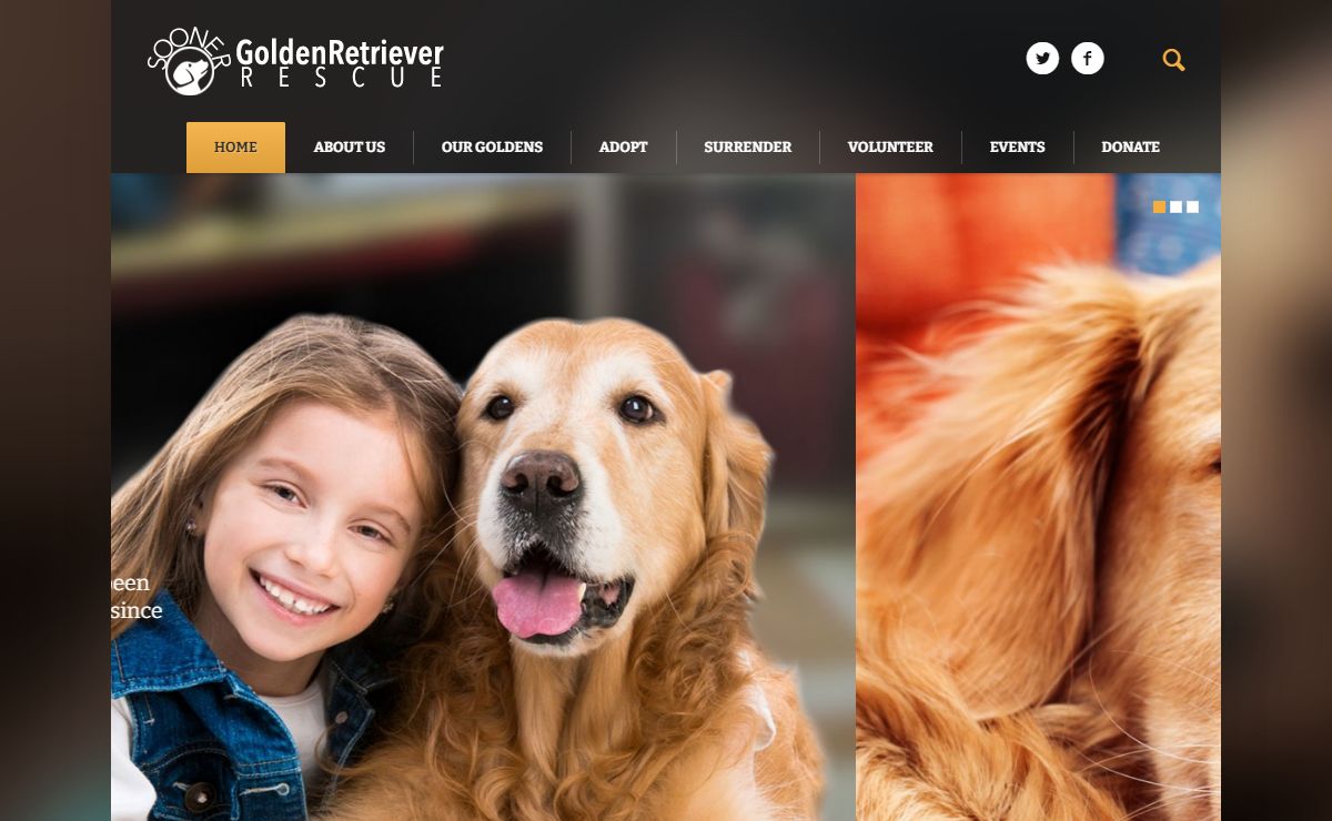 Sooner Golden Retriever Rescue | OKC Pet Adopt