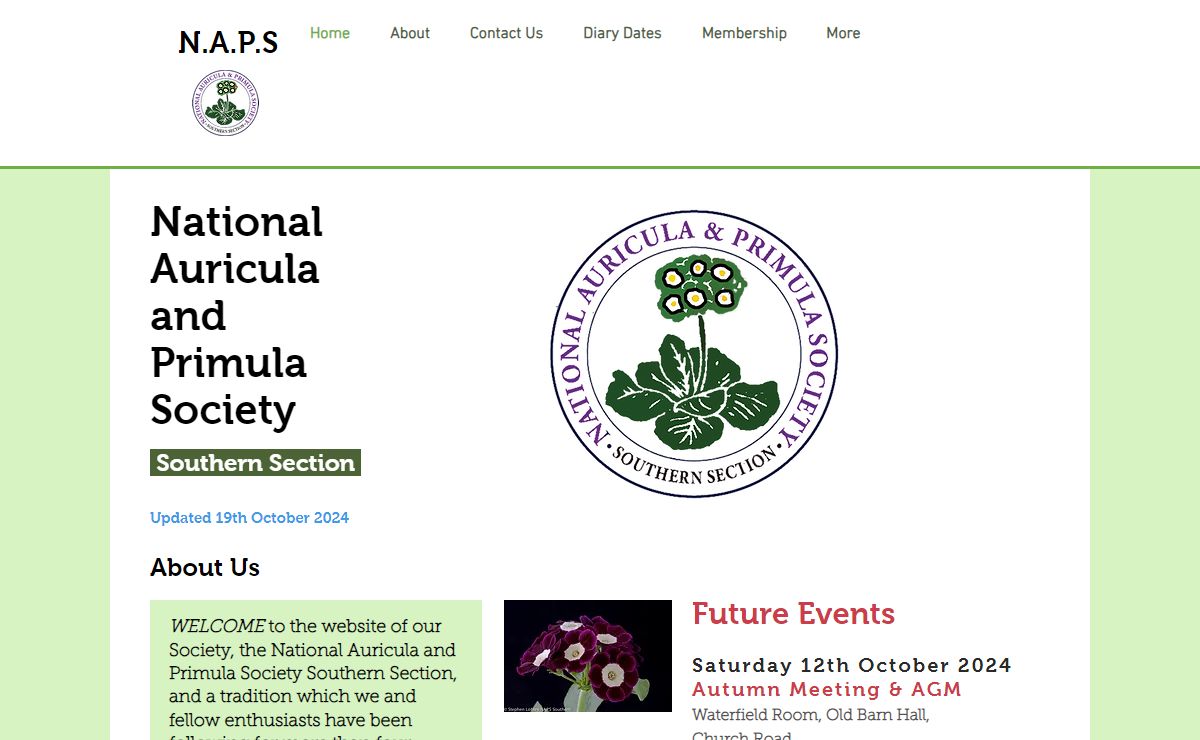 About | NAPS Southern Auricula Society| Primula |Gold laced Polyanthus