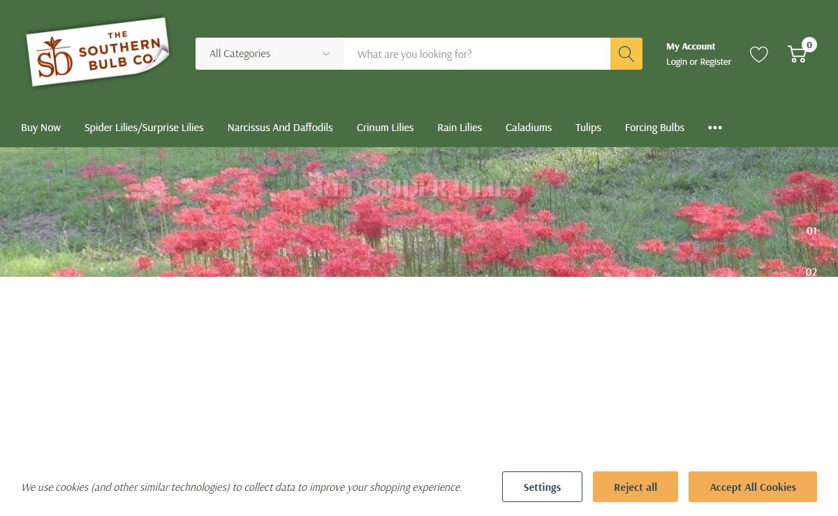 Southern Bulb Company | flower bulbs