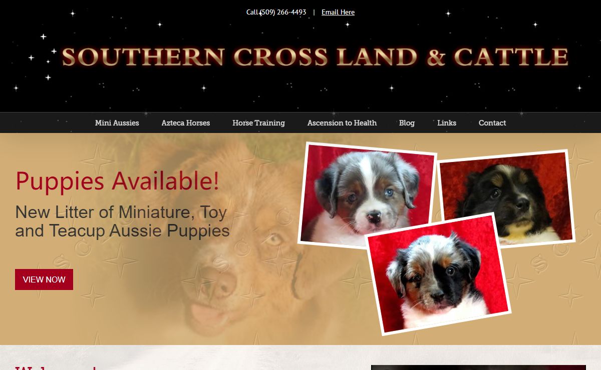 Miniature & Toy Australian Shepherds | Mexican Azteca Horses