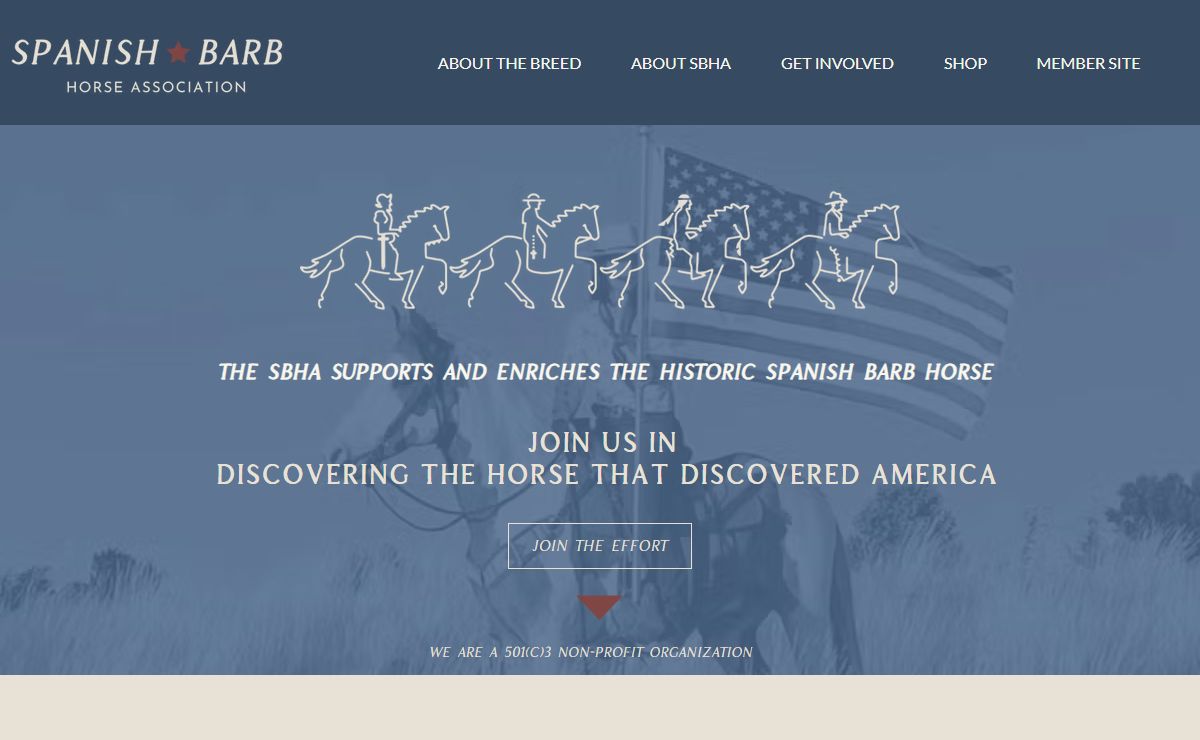 Spanish Barb Horse Association | spanish barb