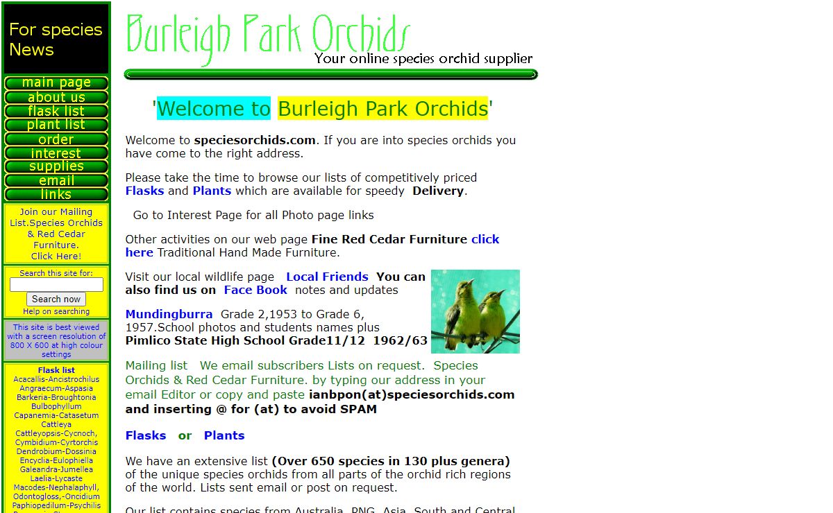 Species Orchids from Burleigh Park Orchid Nursery