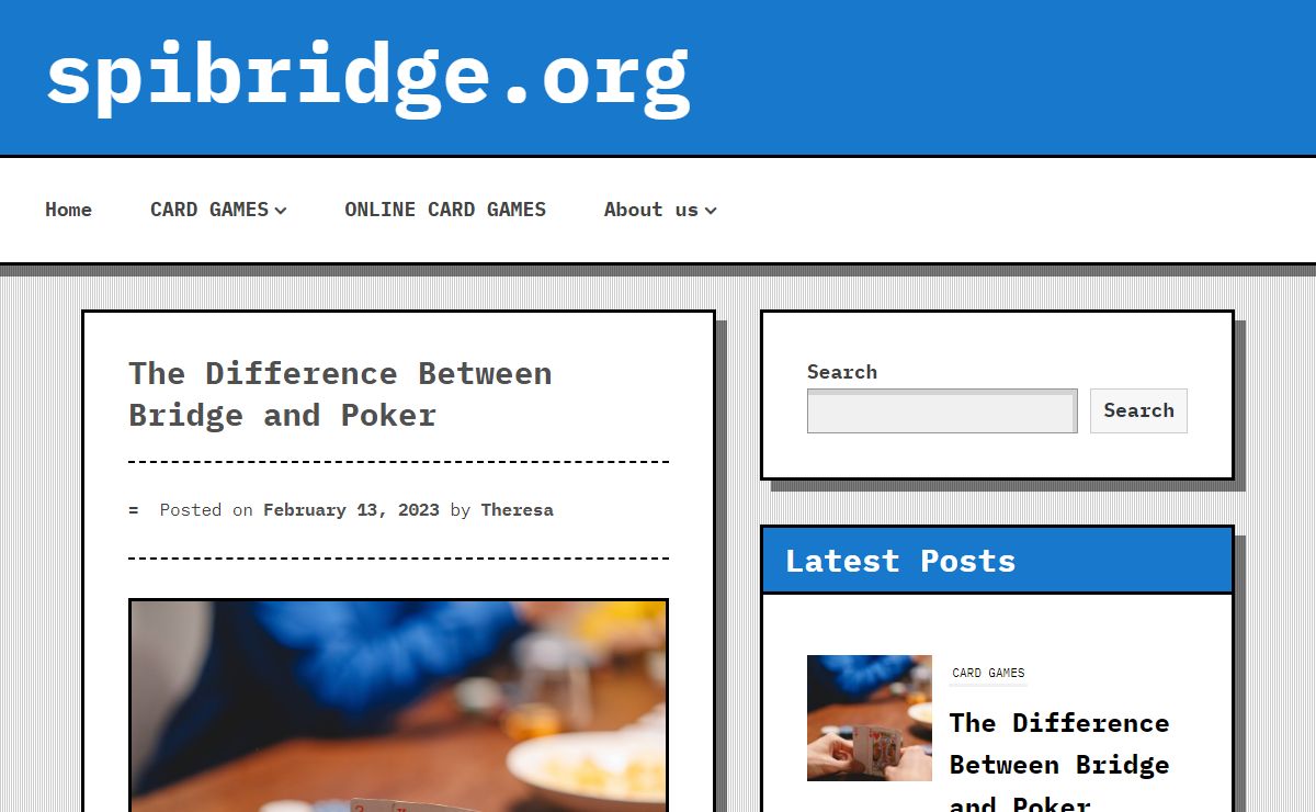 spibridge.org -