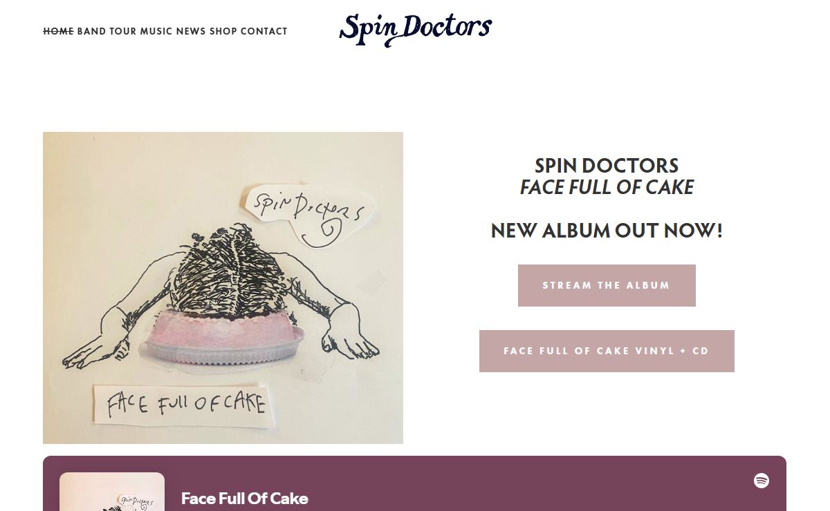 Spin Doctors