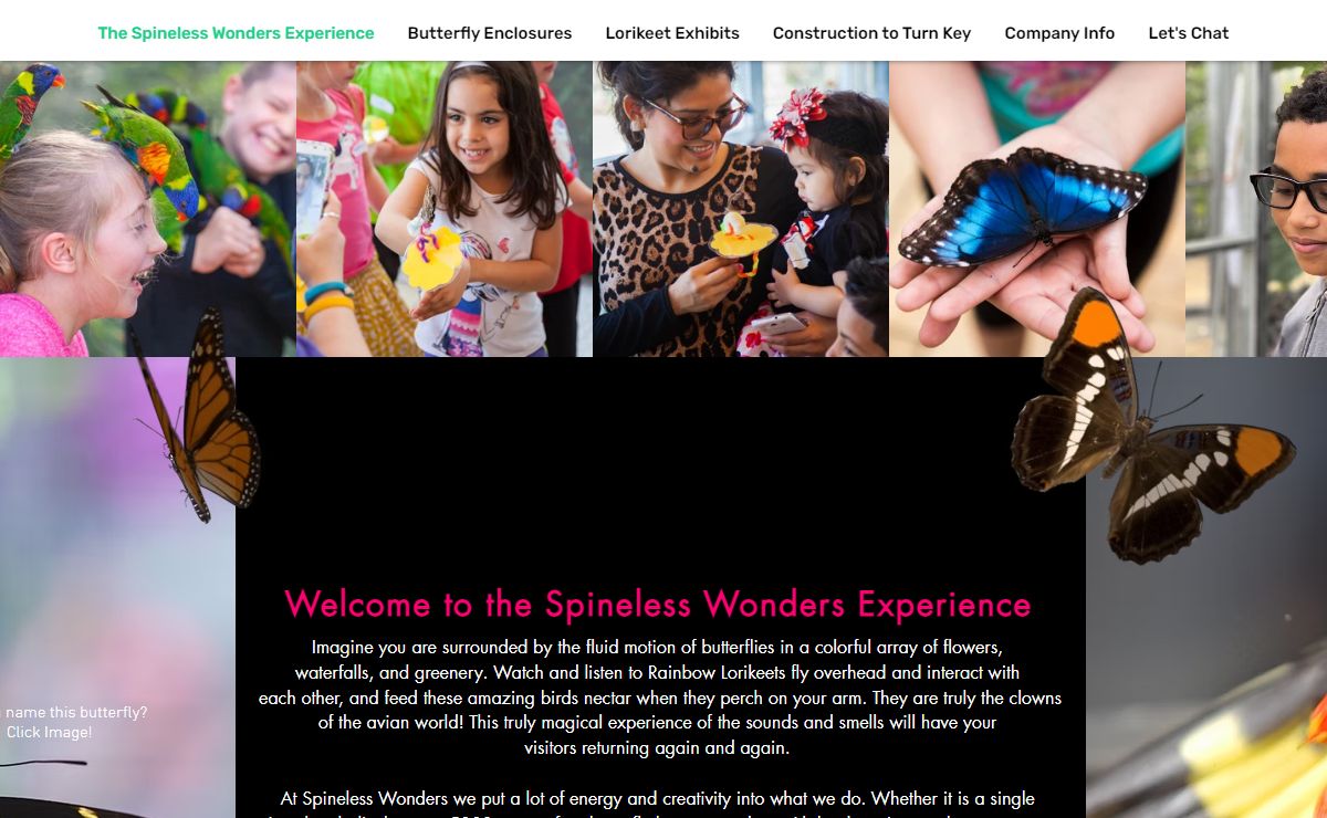 Butterfly & Lorikeet Exhibits | Spineless Wonders