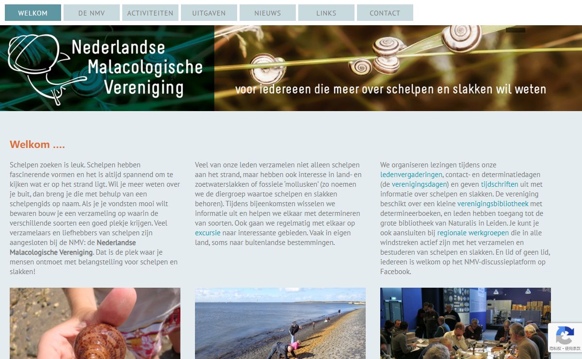 Welkom .... - Nederlandse Malacologische Vereniging
