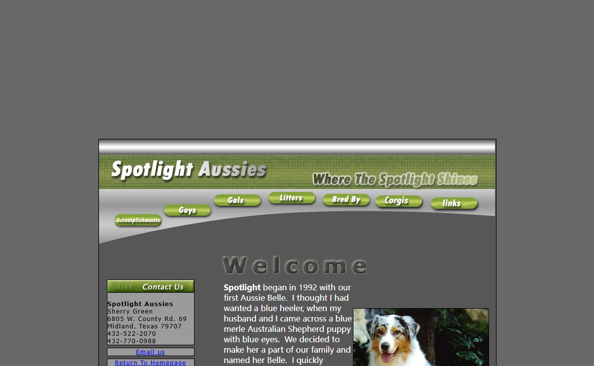 Spotlight Aussies, Aussies Breeding, Australian Shepherd, Shepherds, Sheppards, Corgis, Midland, Texas