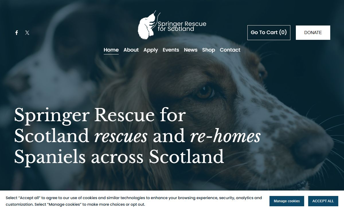 Springer Rescue Scotland | Dedicated to rescuing and rehoming Spaniels