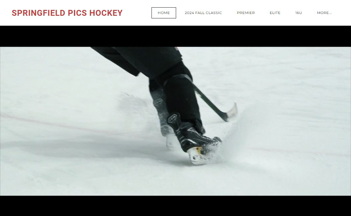 SPRINGFIELD PICS HOCKEY - Home