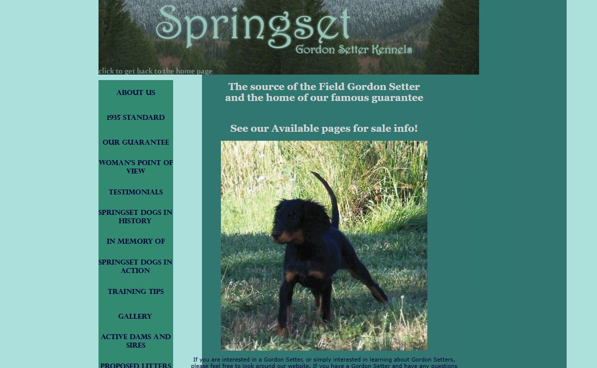 Springset Gordon Setter Kennels