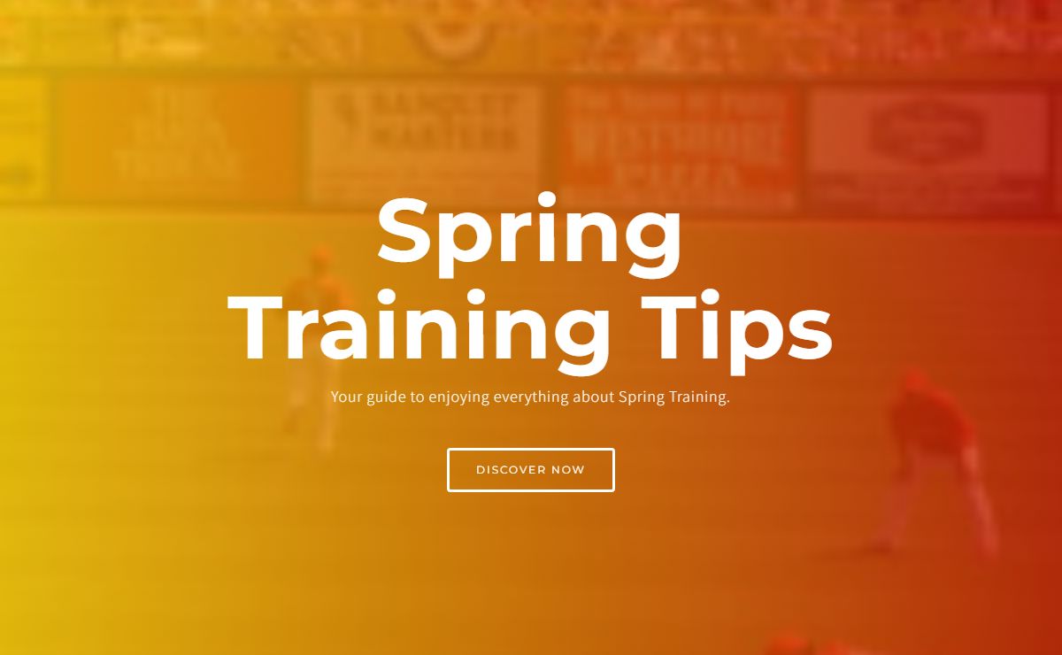 Spring Training Tips