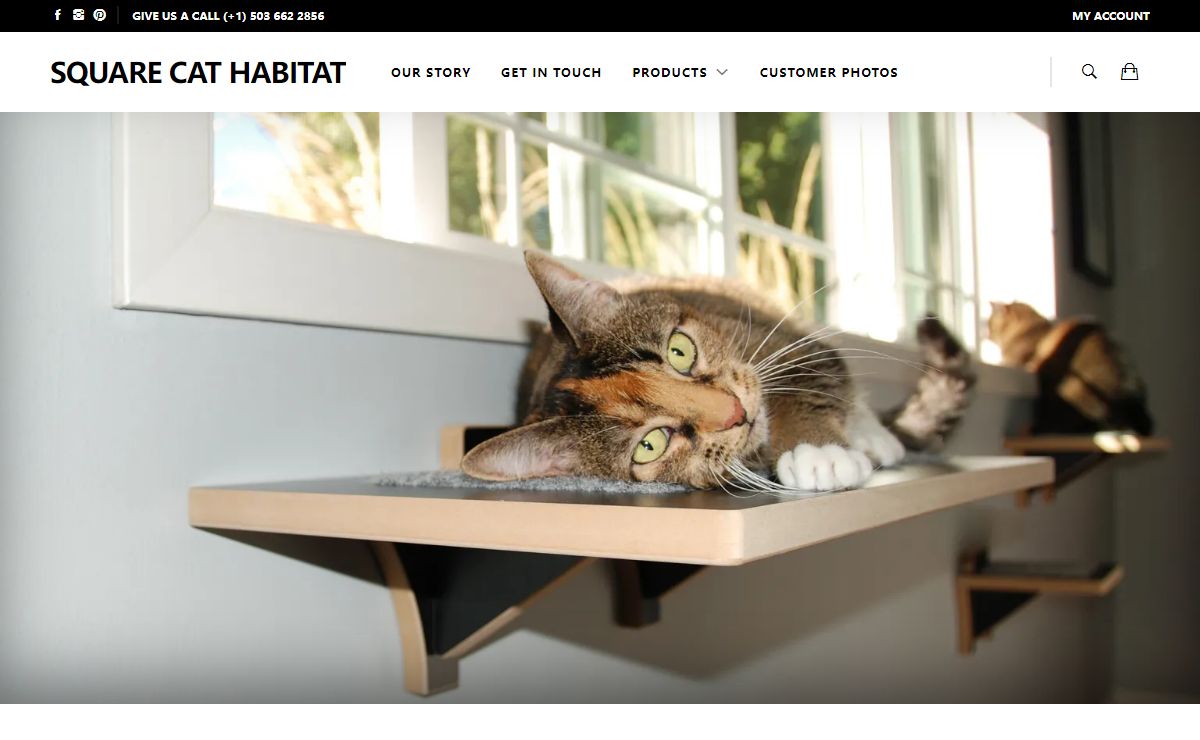 Modern Cat Furniture | Made in USA | Square Cat Habitat
