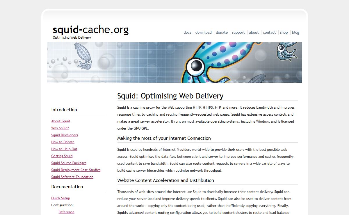 squid : Optimising Web Delivery