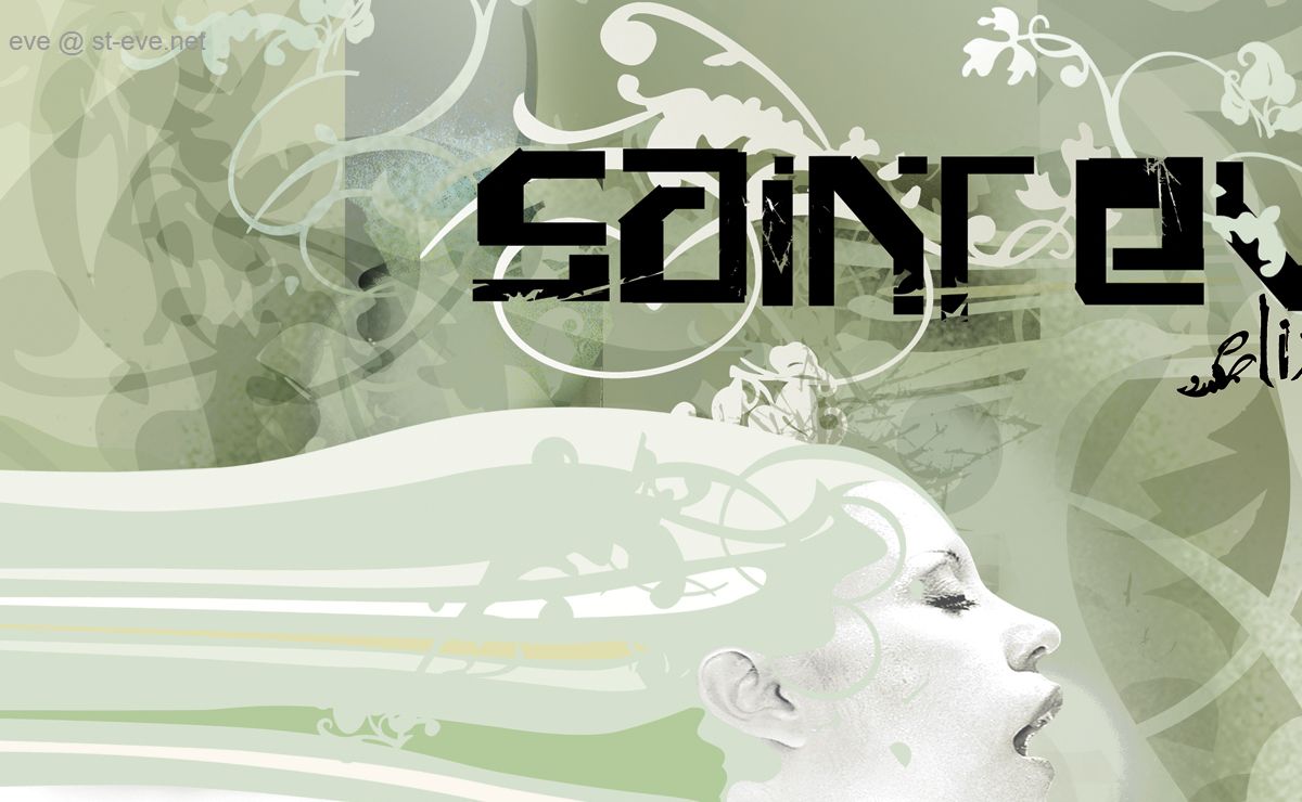 st-eve.net
