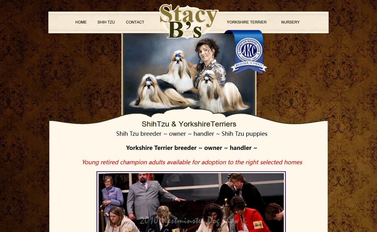 Stacyb.com | Florida Shih Tzu Puppies | Florida Shih Tzu | Florida Shih Tzu Breeders