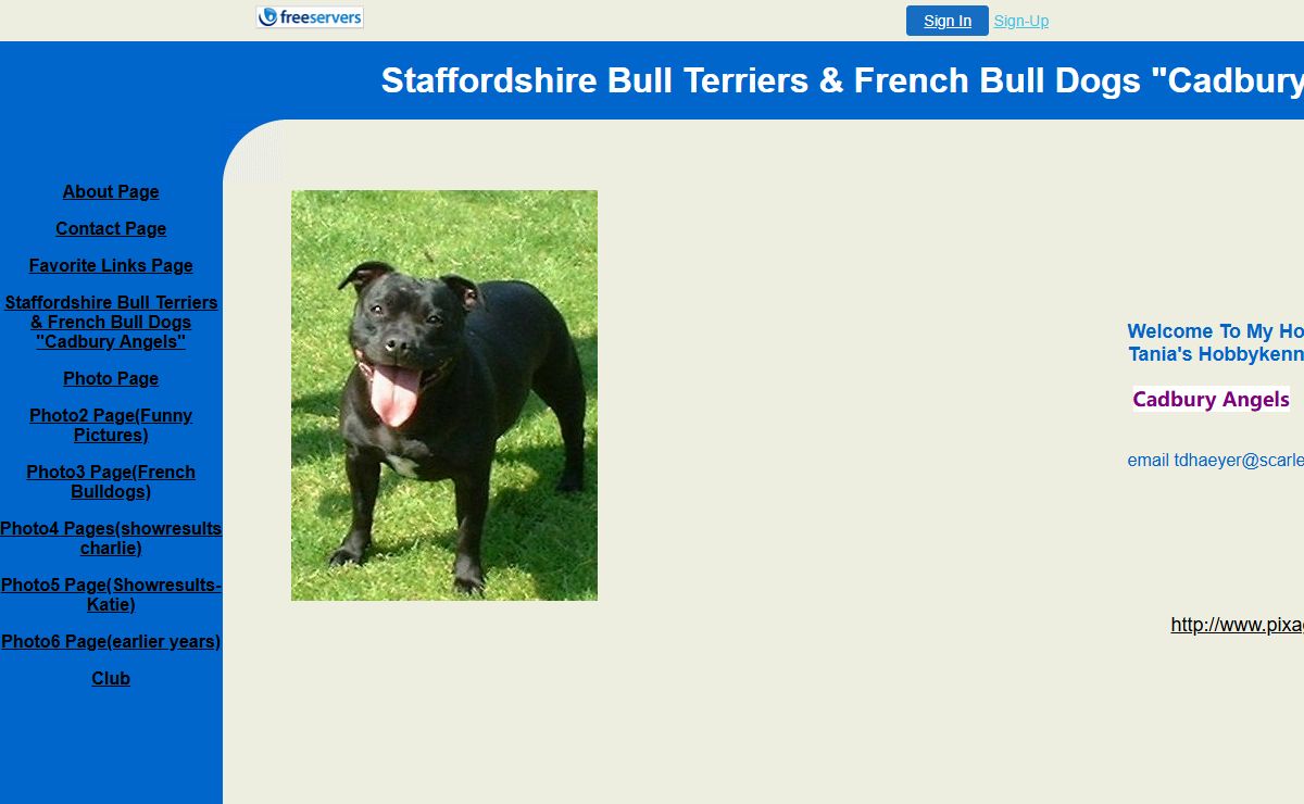 Staffordshire Bull Terriers & French Bull Dogs "Cadbury Angels"