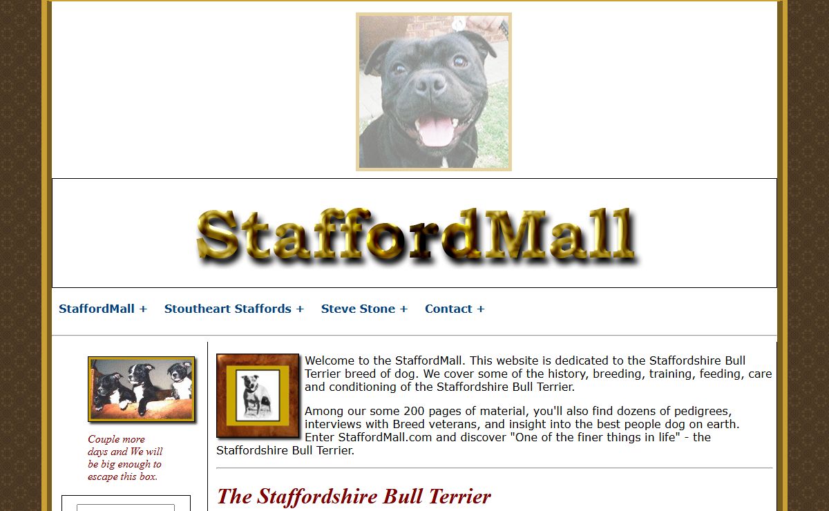 StaffordMall.com - Home Page