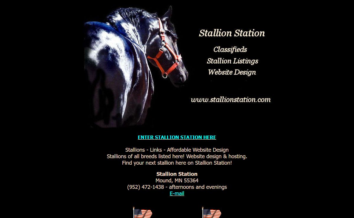 STALLION STATION - Stallion listings, website design and more!!