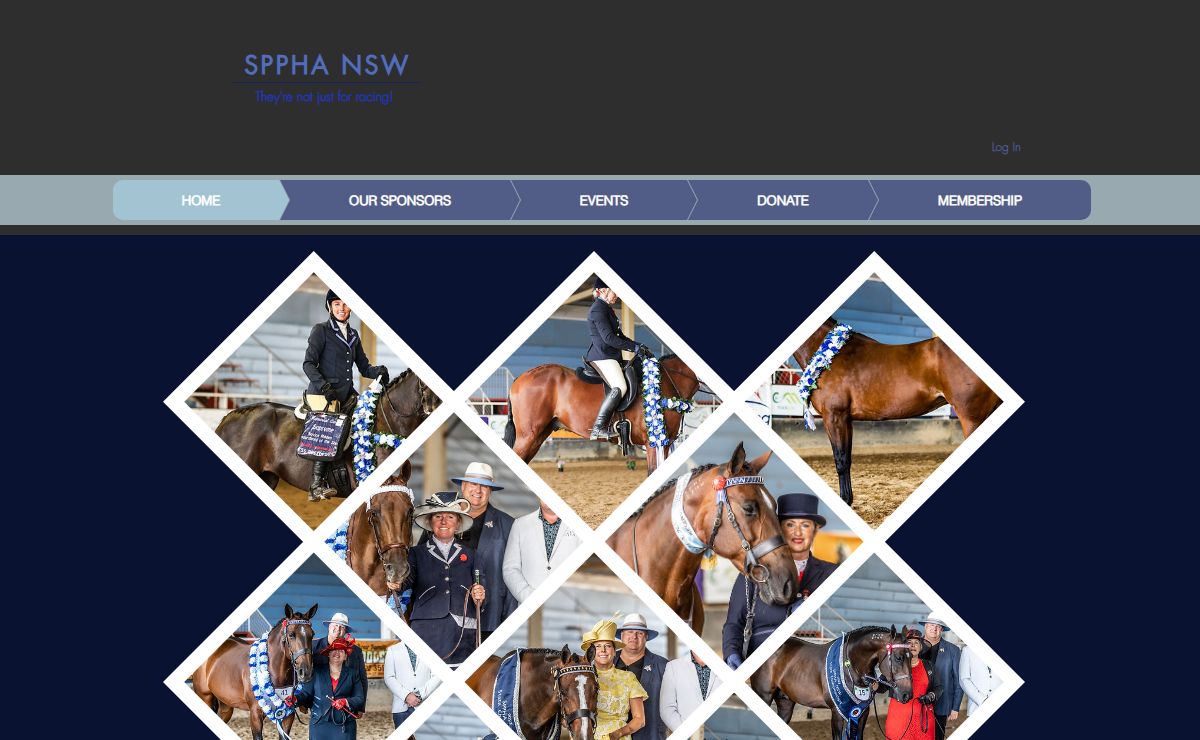 Standardbred Pleasure & Performance Horse Association NSW