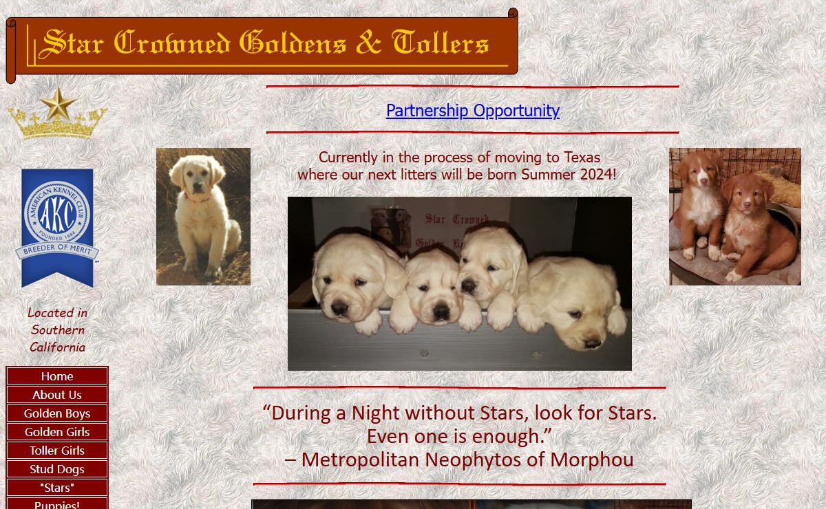 Star Crowned Golden Retrievers and Nova Scotia Duck Tolling Retrievers