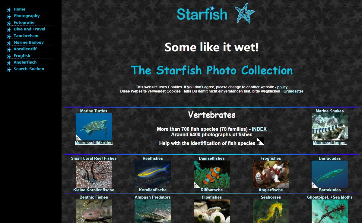 Starfish: Photos of fishes, invertebrates (molluscs, crustaceans, echinoderms, worms, corals, sponges, jellyfish and more), reptiles, rays and sharks. Start your dive into the coral reef!