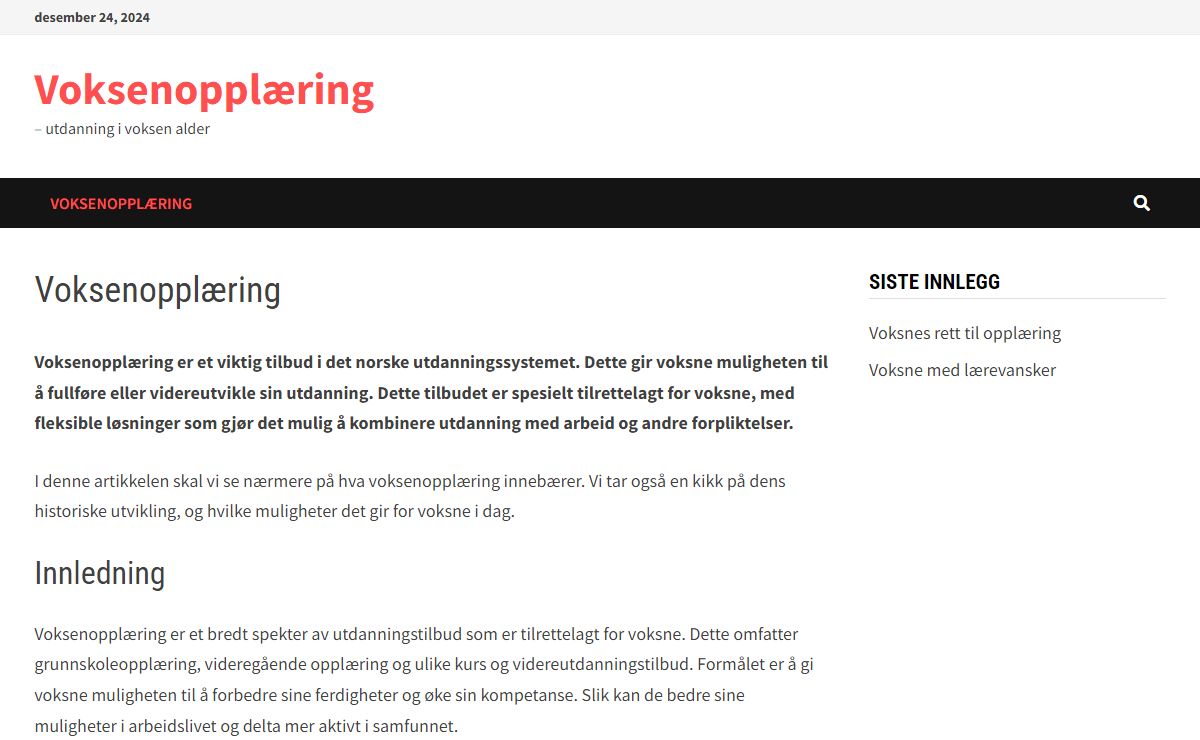 Voksenopplæring - en innføring i et godt studietilbud for nordmenn