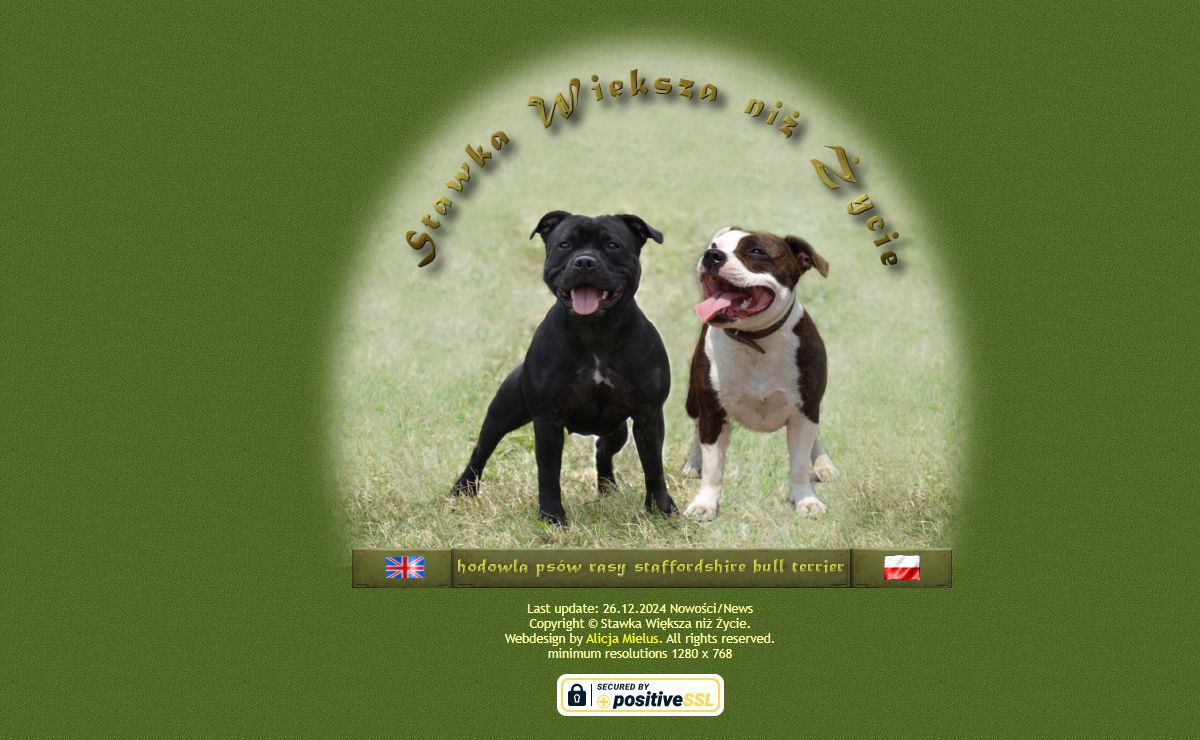 Stawka Większa niż Życie - hodowla psów rasy staffordshire bull terrier