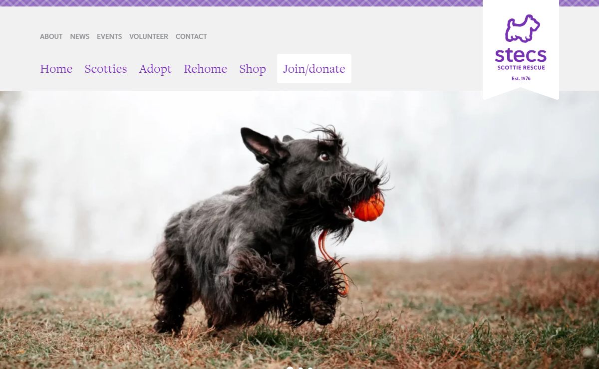Scottish Terrier Emergency Rescue | STECS