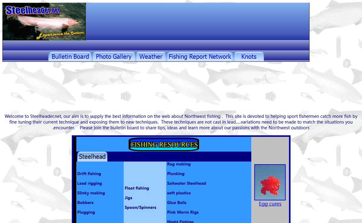 Steelheader.net