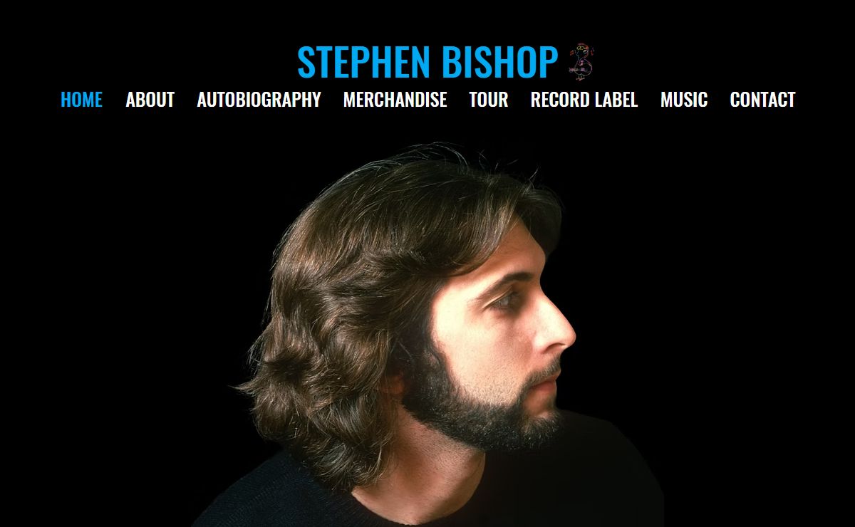 Musician | Stephen Bishop Music