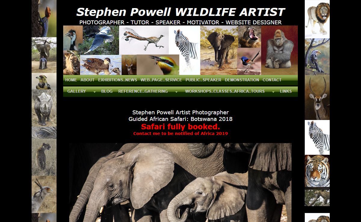 Stephen Powell Australian Wildlife Artist Australia PHOTOGRAPHER - TUTOR - MOTIVATOR - SPEAKER - WEBSITE DESIGNER