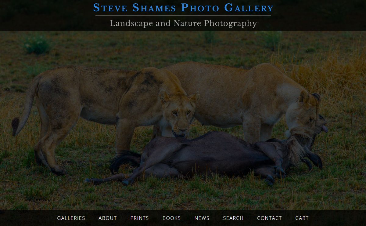 Steve Shames Photo Gallery