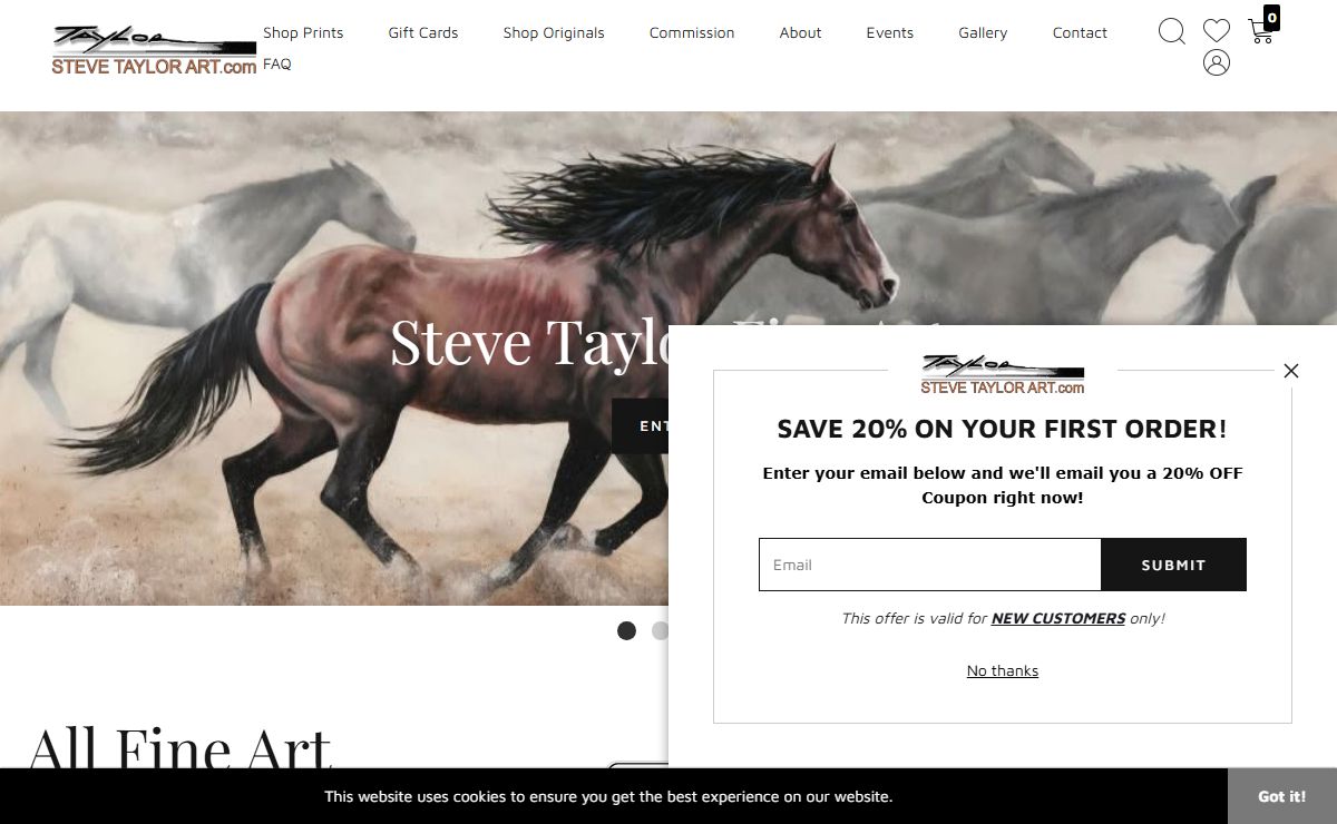 Shop Art | Steve Taylor Art