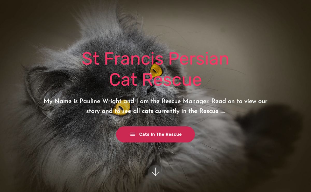 St Francis Persian Rescue