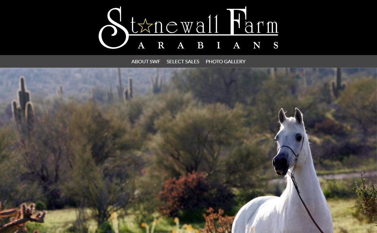 Arabian Horses of Stonewall Farm